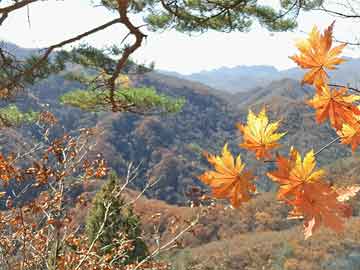 宜阳盐镇s318最新消息